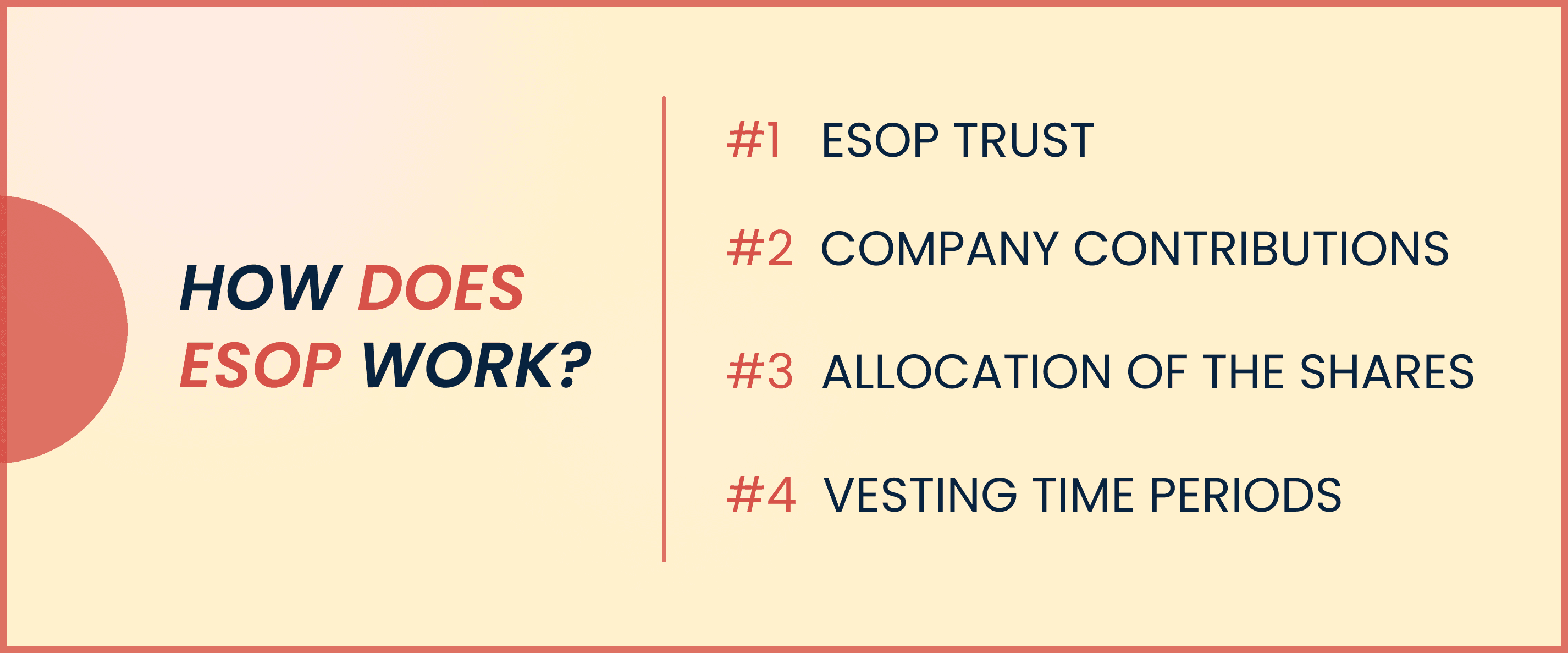 HOW DOES ESOP WORK.png