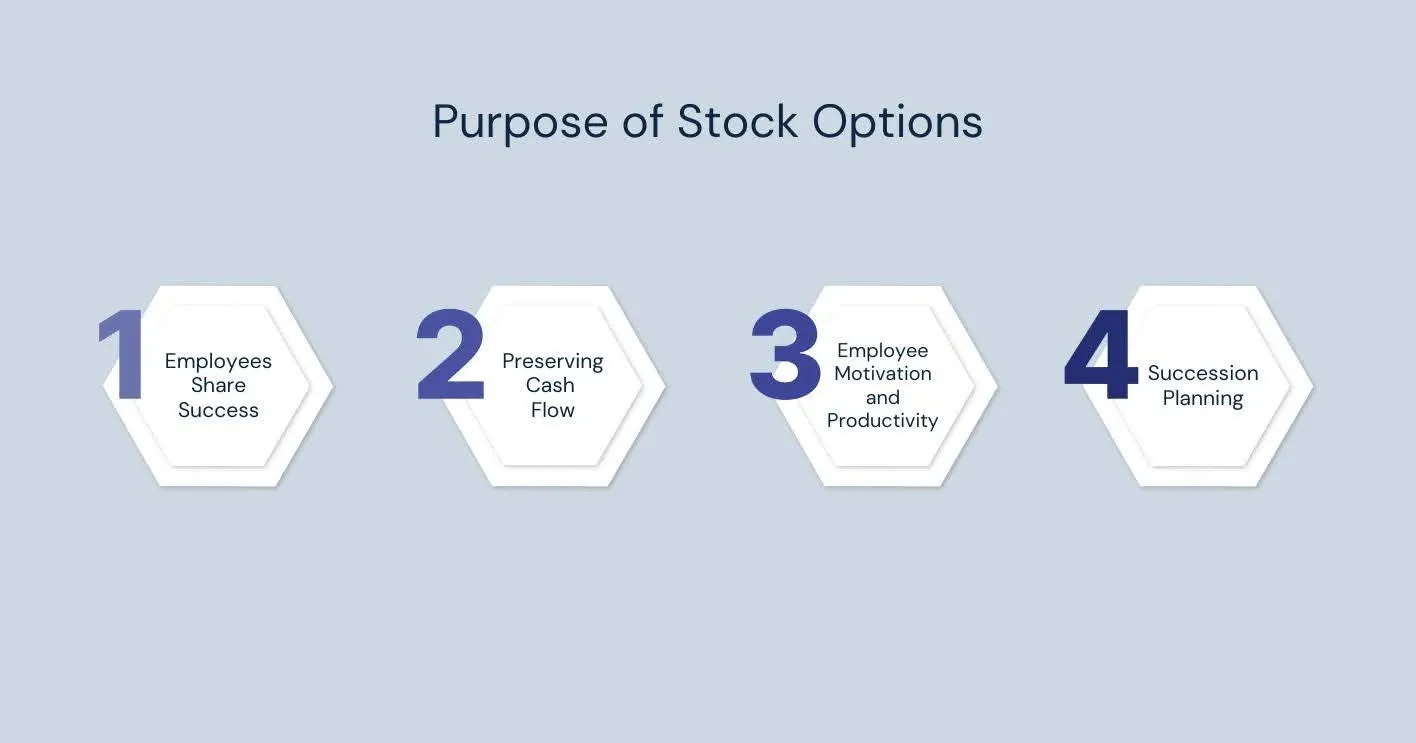 Reasons for Offering Employee Stock Options.webp