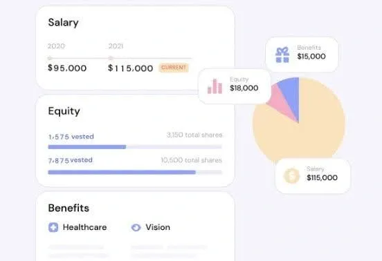 corporate compensation experience with dynamic visualizations.webp